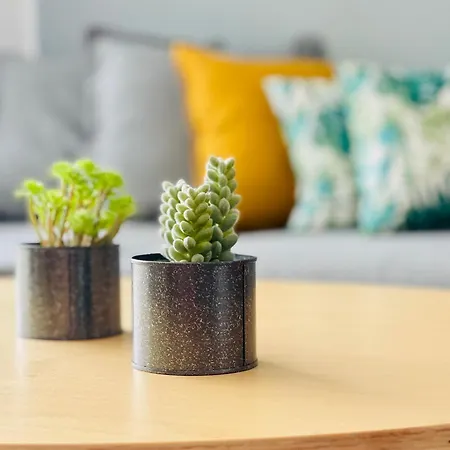 Appartement Estrella *