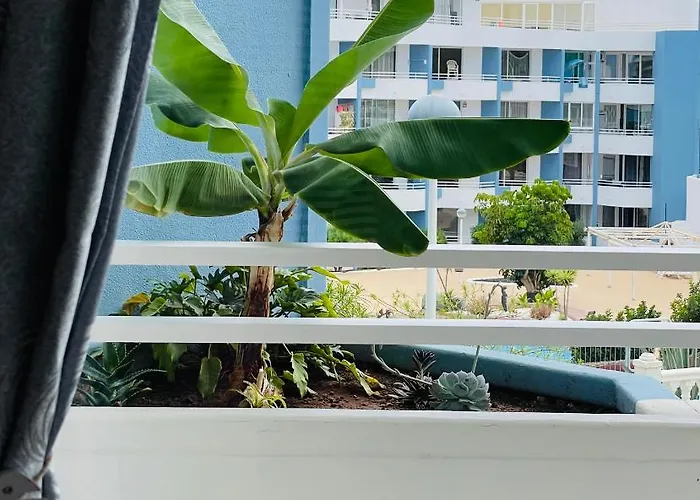 Apartment Estrella *